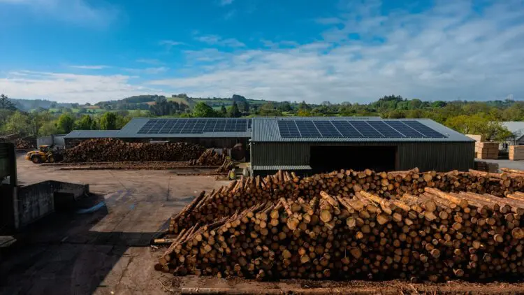 Biomass wood chip storage at the GP Wood site