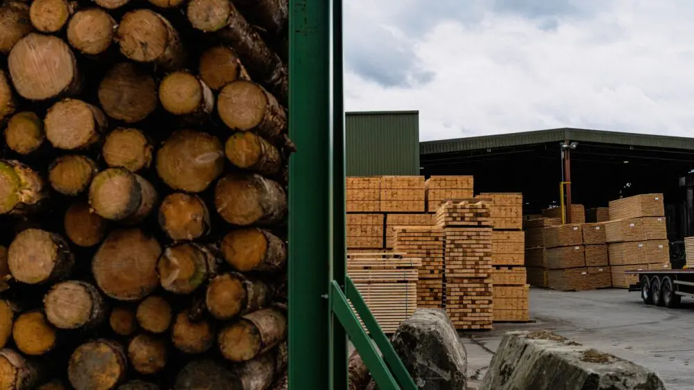 Roundwood log ends stacked in the GP Wood log yard