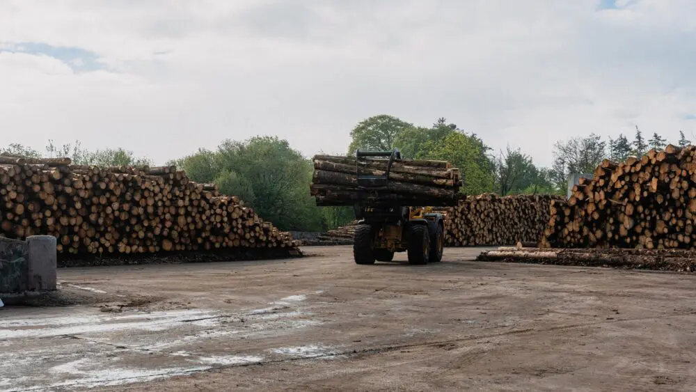 Timber truck unloading logs at the GP Wood log yard
