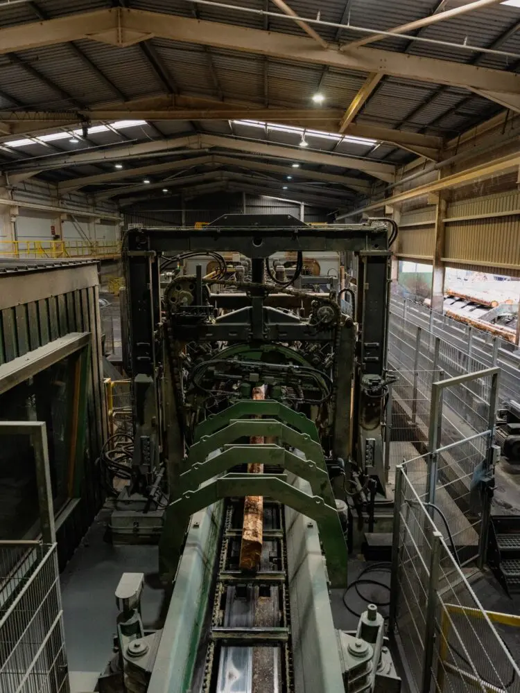 Timber processing machinery inside the GP Wood sawmill