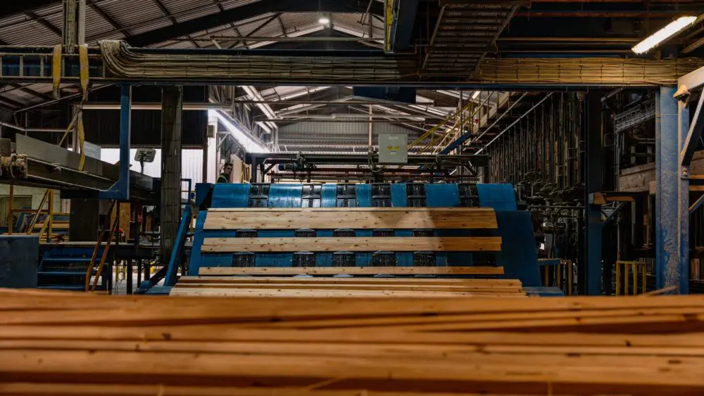 Sawn timber on the production line at GP Wood