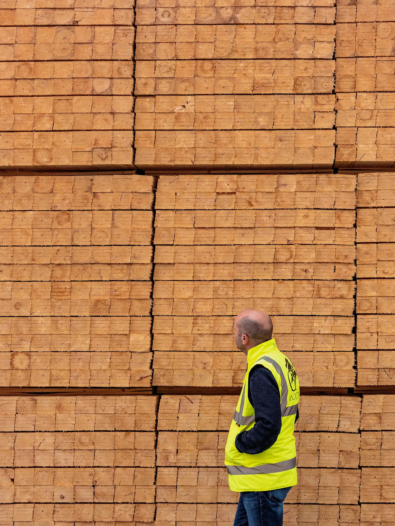 Worker beside stacks of sawn timber at GP Wood