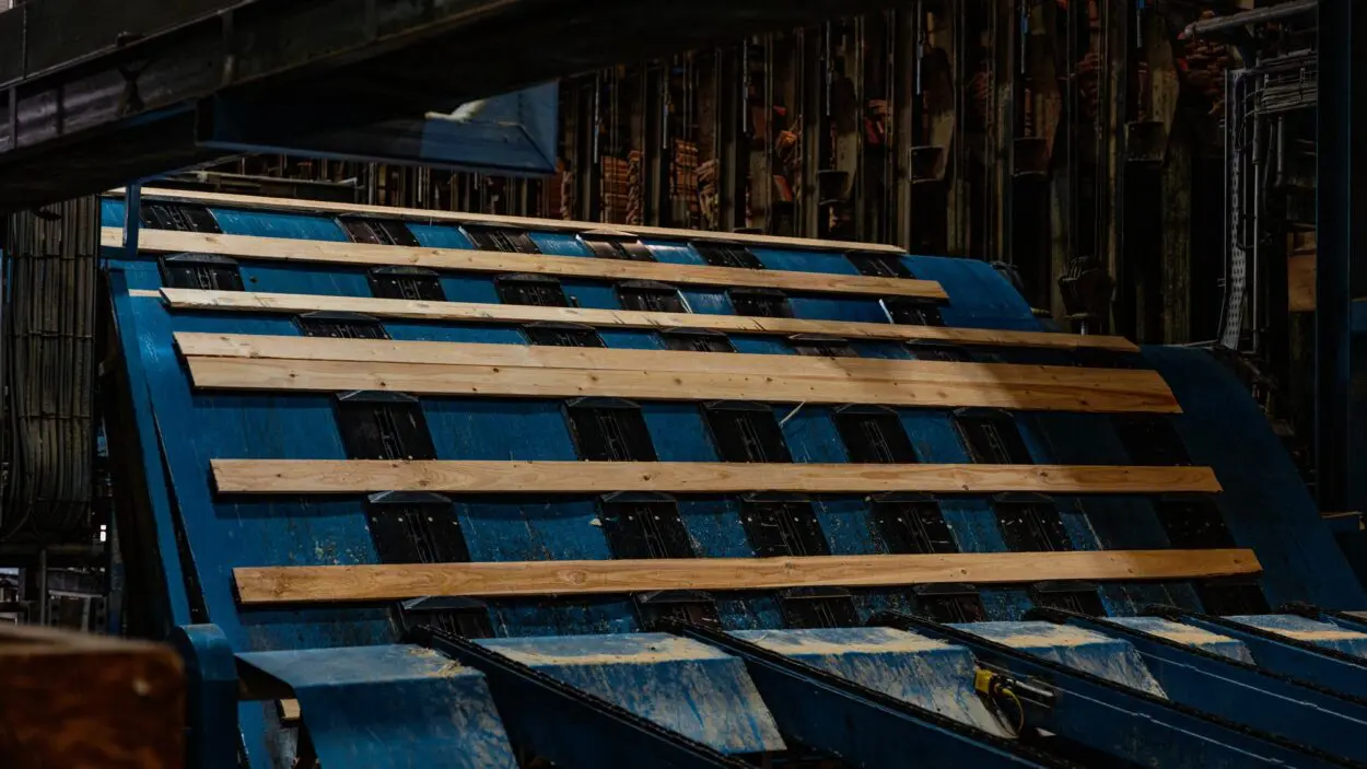 Timber processing line at the GP Wood sawmill