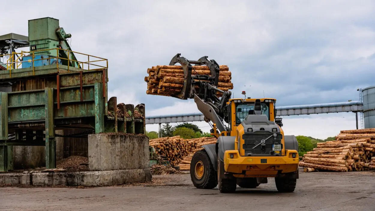 Wheel loader carrying logs at the GP Wood mill